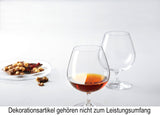 Foto Cognacschwenker „Ciao+“ Cognacglas von Leonardo - maurer-gentlefield.com